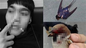 新北,高中,槍,麻雀,燕子,炫耀,屁孩。翻攝爆料公社