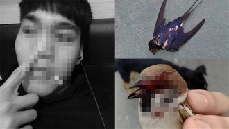 高中生拿槍射鳥　炫耀爆血小鳥引眾怒