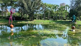 高雄,中央公園,水草,朱宥勳,韓國瑜