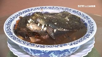 特色料理鱷魚頭盅　閉眼露牙衝擊視覺