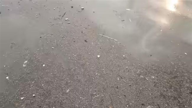 愛河髒亂混濁！網友拍影片曝最新慘況