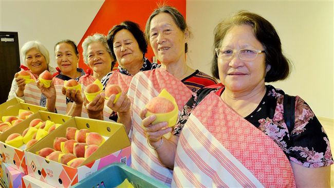打造媽媽桃品牌　桃園巿府為果農加薪
