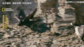 國家地理 危險星球