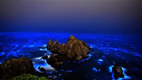 馬祖近岸出現微量赤潮 藍眼淚準備進入爆量期馬祖近岸開始出現微量赤潮，當地有經驗的漁民表示，近日可能出現爆量現象，今年的藍眼淚淚況算是比較正常了。（東莒船老大民宿提供）中央社　108年4月27日