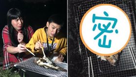 蘭潭魚精再現？！無尊、Eason拍到「人面魚」/緯來綜合台提供