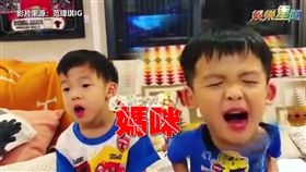 范范與雙胞胎兒幫黑人慶生　
飛飛秒變臉失控推倒媽
