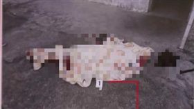 7旬翁殺親生兒／翻攝自看看新聞