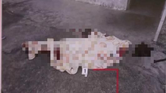 7旬爺殺兒推屍下樓　真相讓百人求情