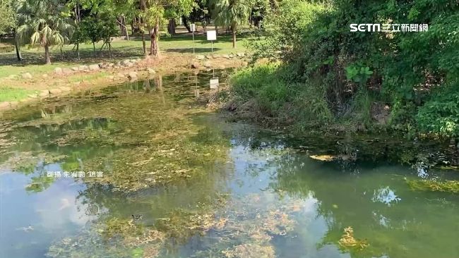 中央公園生態池變濁　作家批韓不在乎
