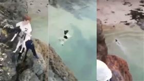 英國,虐狗,RSPCA　（圖／翻攝自YouTube,https://www.youtube.com/watch?v=dngQhxv39Ls）