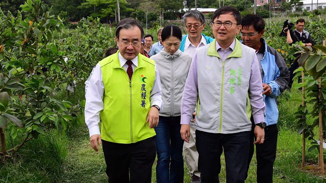 釋迦樹裝支柱　農委會補助台東上千萬
