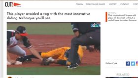 陳偉漢登上大聯盟官網。（圖／翻攝自大聯盟官網）