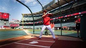 大谷翔平打擊練習。（圖／翻攝自天使隊推特）
