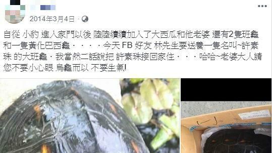 「謝許素珠」起底！5年前就曾亂刻龜