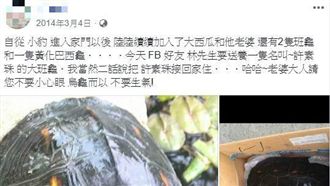 「謝許素珠」起底！5年前就曾亂刻龜