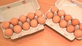 買蛋等半年1800