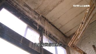 牆壁竟生鐘乳石！新竹都更等4年無解