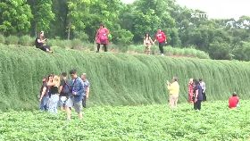 綠瀑布拒拍1800