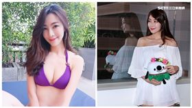 鳥神
圖／鳥神提供、記者邱榮及攝影