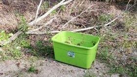 綠盒子在中午高溫下狂曬　好奇路人探頭…驚見最殘忍畫面（圖／翻攝自Rescue Dogs Rock NYC）