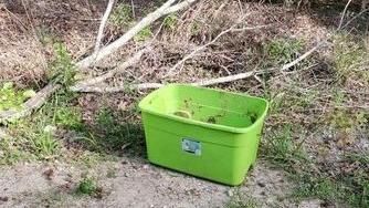 路人好奇查看陌生綠箱…探頭秒被嚇傻