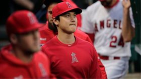 ▲大谷翔平最快明天對老虎上場打擊。（圖／翻攝自MLB官網）