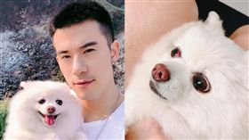 JR紀言愷，毛小孩誤吃小饅頭，眼球微血管破裂狂吐24小時。（圖／臉書）