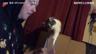 快給本喵喝一口！男子大膽惡整喵星人