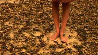 停車遭蟲蟲大軍攻陷…恐怖景象網嚇瘋