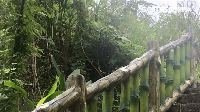 酒店女公墓埋兒屍　挖無遺體獲判無罪