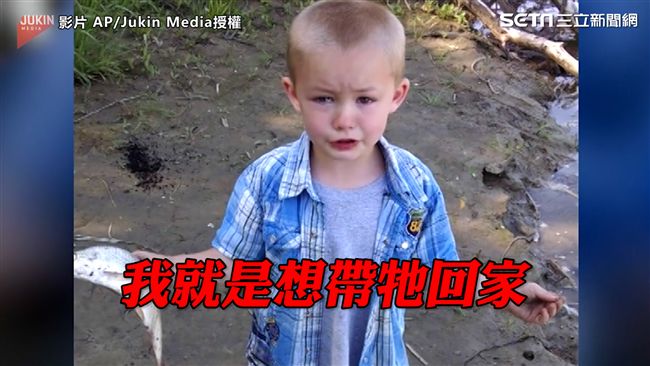 男童想帶走「死魚」…跳針式淚求超萌