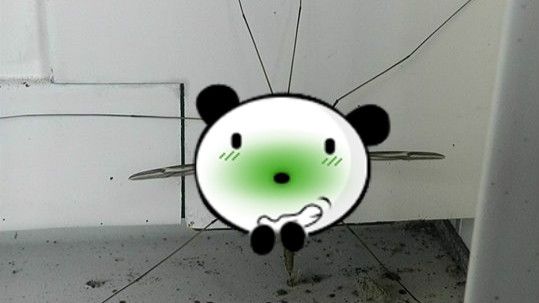 他驚見超巨型蚊子嚇歪！網喊：別殺牠
