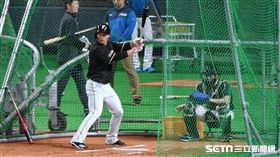 ▲王柏融打擊練習。（資料圖／記者王怡翔攝影）