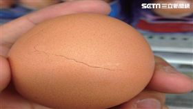 食藥署,食藥好文網,雞蛋,蛋,膽固醇