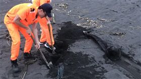 宜蘭海岸發現鯨豚擱淺死亡海巡署第一岸巡隊8日下午在宜蘭縣蘭陽溪河口北岸發現鯨豚擱淺死亡，由岸巡人員現地先行掩埋並做記號，避免鯨豚屍體遭海浪沖走或野狗啃食。（海巡署第一岸巡隊提供）中央社記者王朝鈺傳真  108年5月9日
