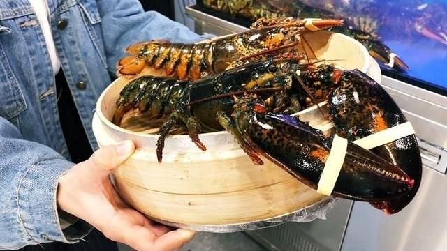 超越水產全倒？　竟只因是實驗品！