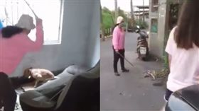 盆栽被打翻…母女拿掃把爆打黃狗　牠痛到發抖閃尿(圖/爆怨公社)