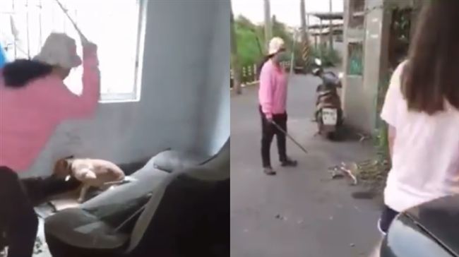 高雄母女狠毆小黃狗！牠痛到狂抖閃尿