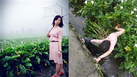 （圖／翻攝自爆廢公社）出賣,女友,海芋田,摔倒