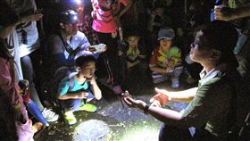 屏東雙流遊樂區生態大爆發 林管處辦森夜食堂屏東獅子鄉的雙流森林遊樂區每年5月底、6月兩棲類及爬蟲類夜間活躍，林務局屏東林管處5月25日起連續2個週末舉辦「森夜食堂」活動，帶領民眾觀察雙流的夜間生態。（屏東林管處提供）中央社記者郭芷瑄傳真 108年5月9日