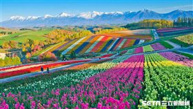 易遊網,旅展,北海道,／易遊網提供