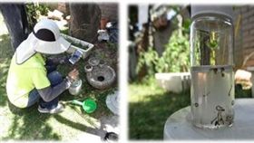 托嬰中心過半不合格？高雄這間有孑孓
消保處,托嬰中心,台北