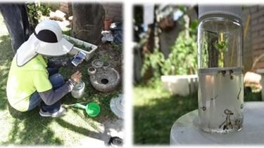 托嬰中心過半不合格？高雄這間有孑孓