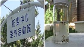 高雄托嬰中心有孑孓  竟只罰六千？
高雄,托嬰中心