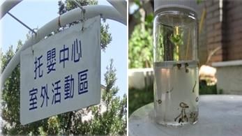 高雄托嬰中心有孑孓  竟只罰六千？