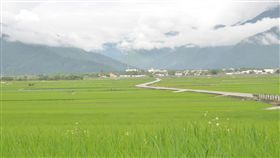 雨後天晴 台東區農改場籲加強農作物病害防治台東區農業改良場助理研究員林駿奇表示，根據中央氣象局資料，台灣已進入梅雨季節，預計10日後天氣逐漸回穩，而高溫高濕的天氣型態最容易發生農作物病害，呼籲農友務必加強防治。（檔案照片）中央社記者盧太城台東攝　108年5月10日