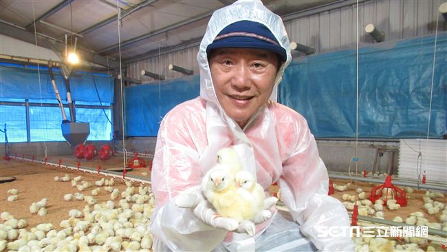 紅茶雞生在日月潭　雞腿近兩百五十元