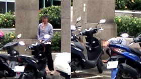 新竹,遛鳥,尿,機車。翻攝自新竹爆料公社