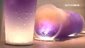 H蝶豆花有毒1100