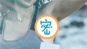 腋下 腋毛 圖／翻攝自pixabay https://pixabay.com/photo-3345157/